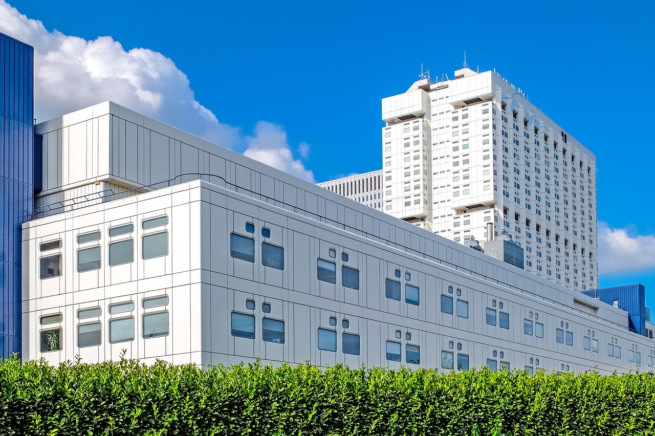 Sustainable Practices for Visiting the Netherlands’ Rotterdam